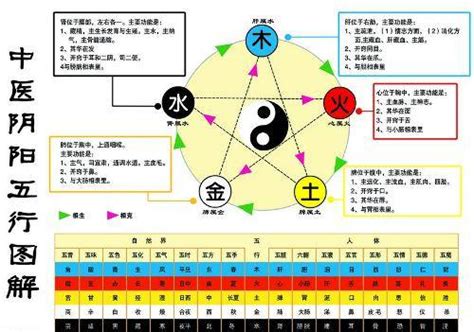 金 生 水|怎么理解五行理论中的“金生水”？